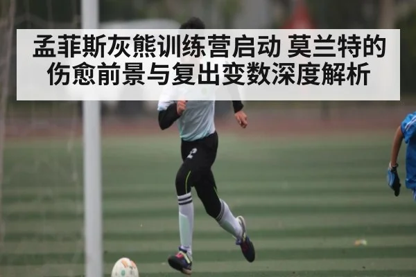 孟菲斯灰熊训练营启动 莫兰特的伤愈前景与复出变数深度解析