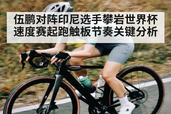 伍鹏对阵印尼选手攀岩世界杯速度赛起跑触板节奏关键分析
